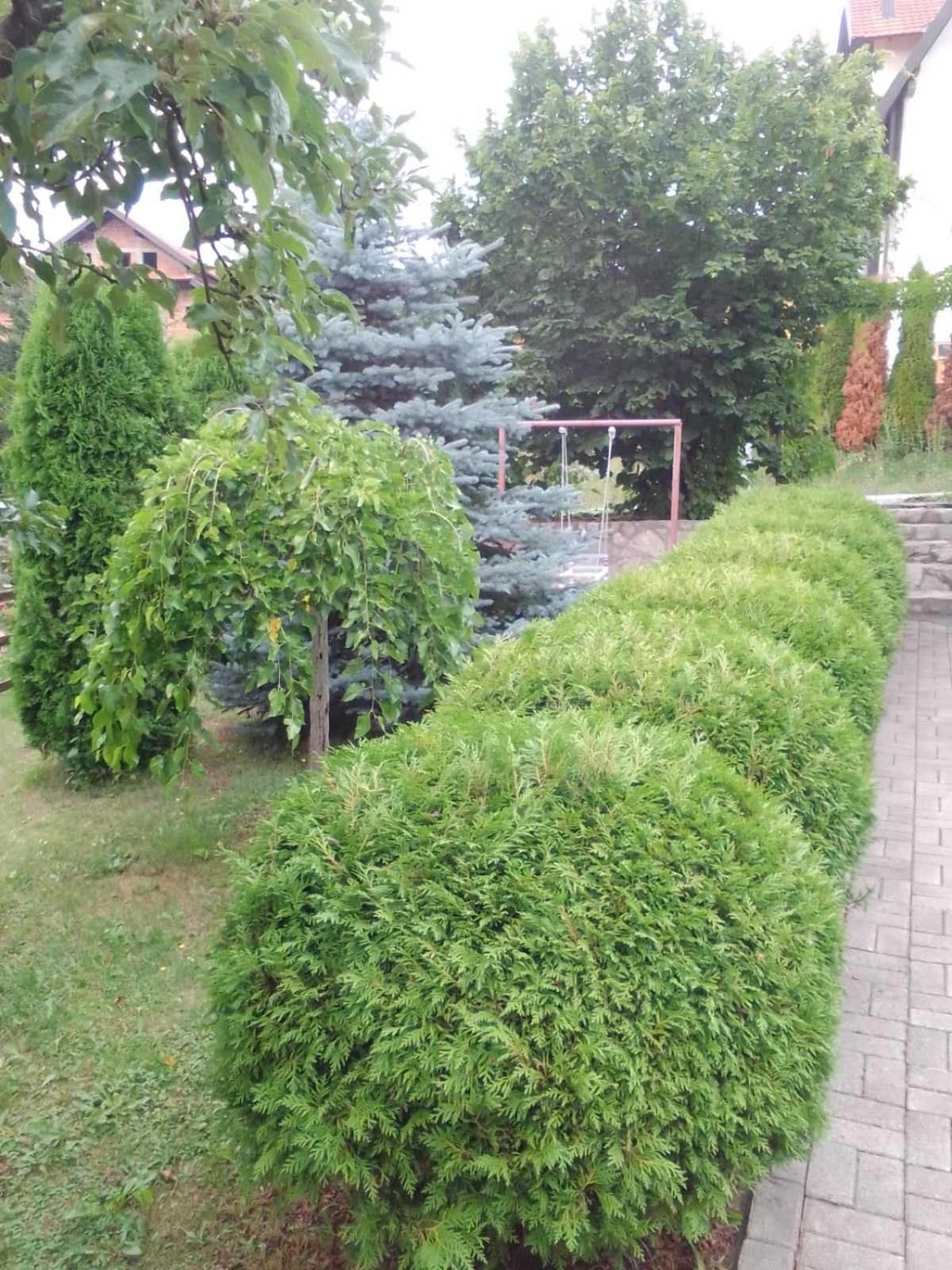 Privatni Smestaj Tesevic Zlatibor Exterior foto