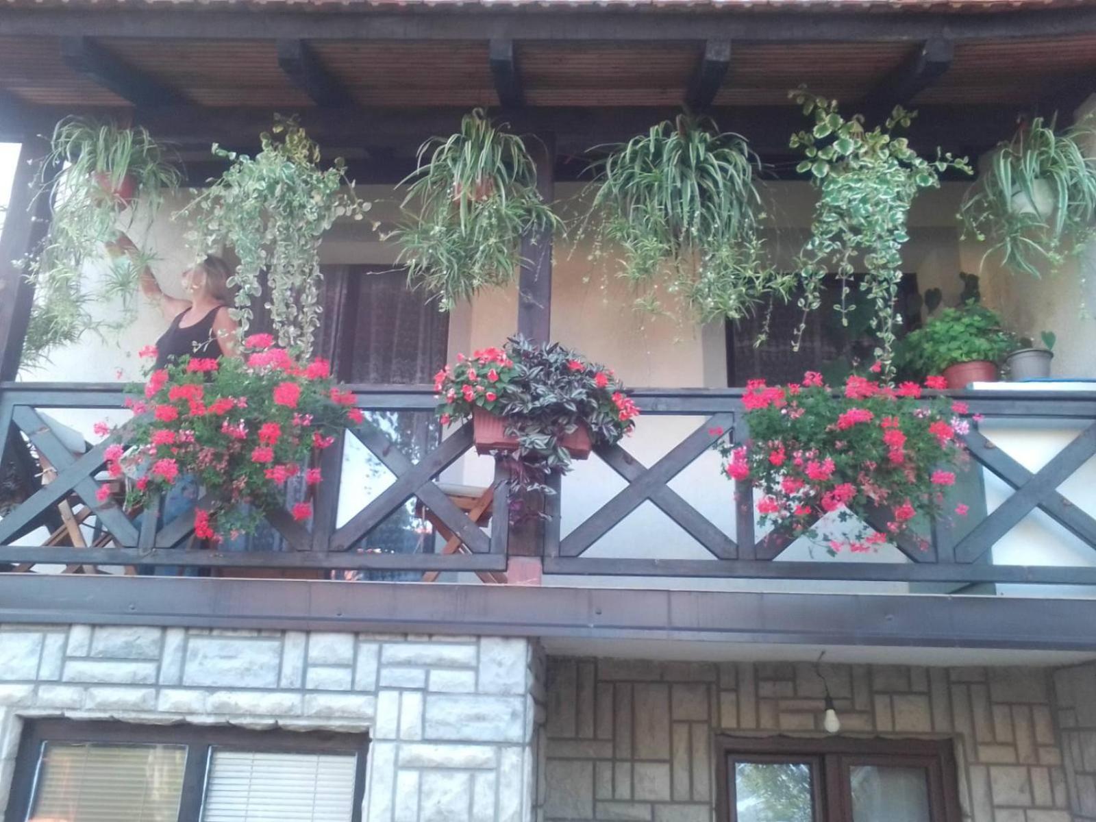 Privatni Smestaj Tesevic Zlatibor Exterior foto